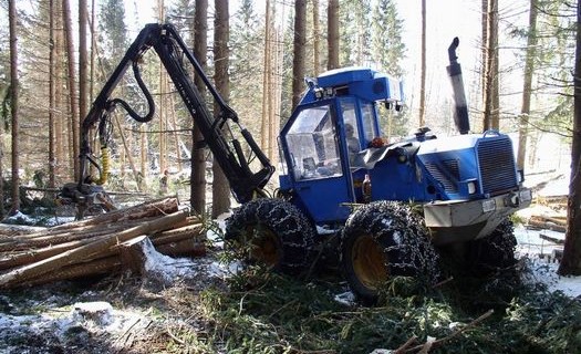 Těžba dřeva Šumava, lesnické práce, mýtní těžba dřeva, zpracování