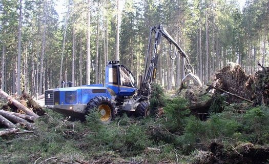 Těžba dřeva Šumava, přeprava dřeva, mýtní těžba dřeva