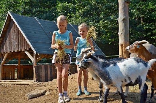 Zábavní_park_Šikland_zookoutek