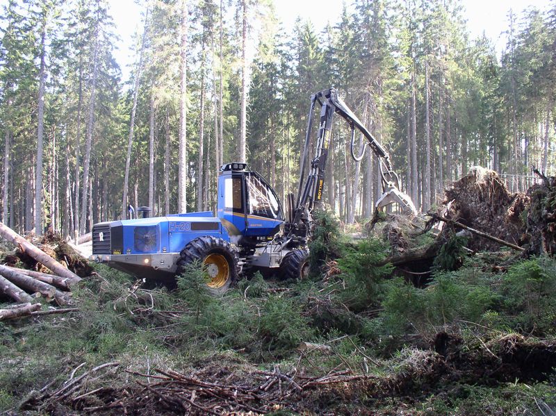 Hanko CZ, s.r.o., Šumava, těžba dřevní hmoty