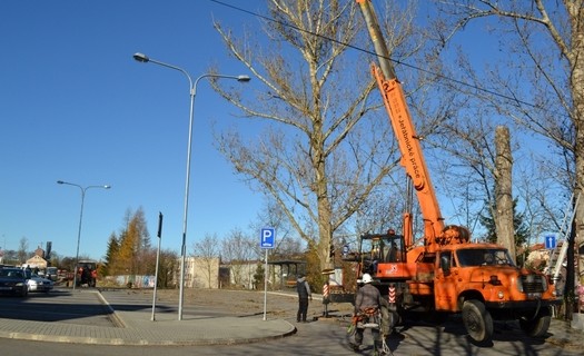 Kácení stromů služby města Náměšť nad Oslavou