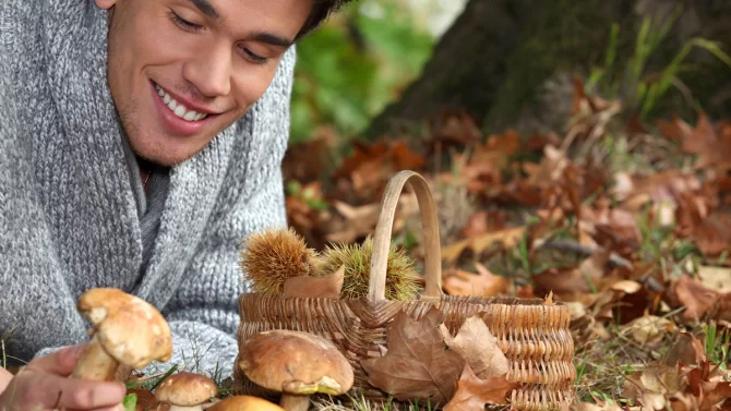 Chcete si přivydělat prodejem hub? Musíte mít osvědčení o tom, že je znáte