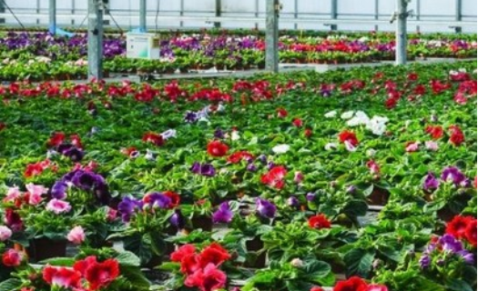 Zajistěte vitalitu své zahradě díky našim pěstebním substrátům a zeminám.