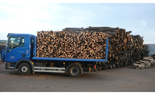 Suché palivové dřevo vám ušetří náklady za vytápění