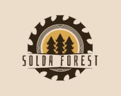 SOLDA forest David Solař