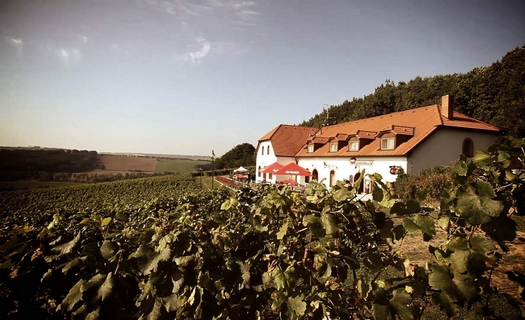 Rodinné vinařství jižní Morava