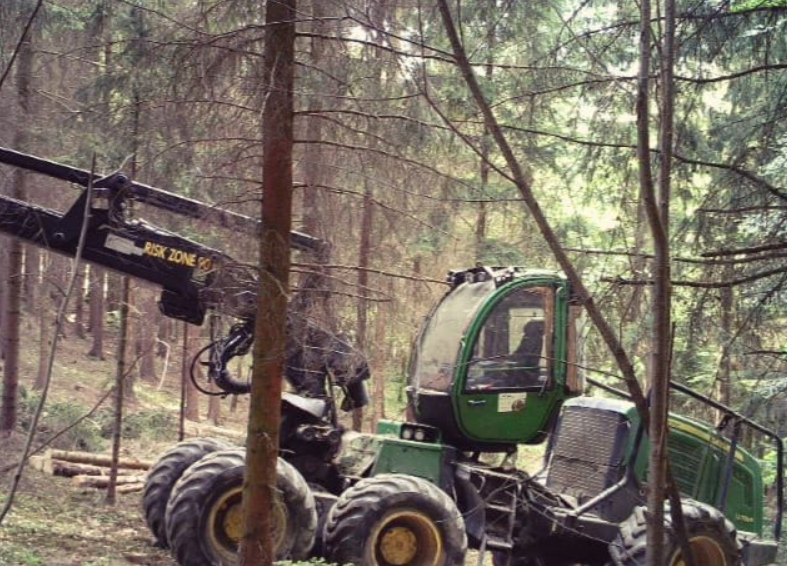 Výřezy náletových dřevin, výsadba a čištění lesů Brno-venkov