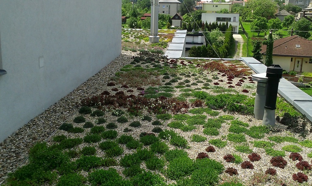 Realizace zelené střechy Opava