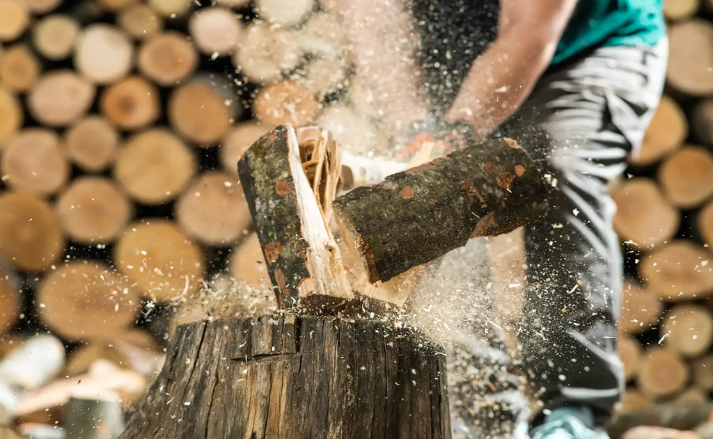 Výrobce kvalitního dřeva Brno-venkov