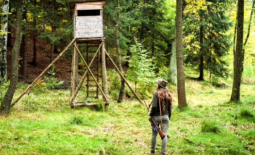 Střední lesnická škola, lesnické obory, lesnictví, lesní mechanizátor, lesnické práce, Šluknov