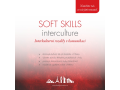 Special language intensive courses SIK, Soft Skills for key employees the Czech Republic
