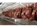 Porážka jatečných zvířat, odborné bourání a nakládání hovězího i vepřového masa, rozvoz