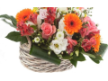 Komplexní květinový servis, doručování květin Ústí nad Labem, prodej řezaných květin, dekorace