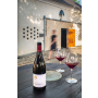 Degustace odrůdových vín z BIO hroznů s prohlídkou vinařství a ukázkou technologie výroby vína
