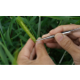 Department of genetics - research and breeding of special cultivars of barley, wheat and other cereals