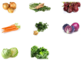 Vakuově balené zeleninové gastro polotovary pro gastronomii, jídelny, nemocnice
