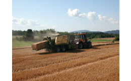 AGRONA Staré Město, a.s. Staré Město u Moravské Třebové, pěstování a sklizeň obilovin