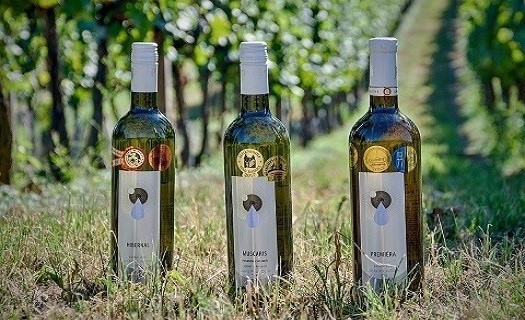 Zakázková výroba firemních vín, vína s etiketou a logem firmy
