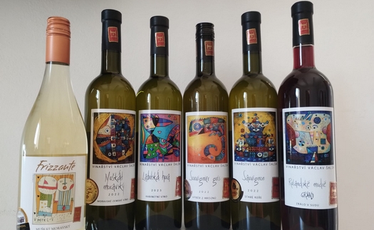 Vybraná vína Vinařství Šalša