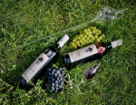 Kvalitní lahvová vína s firemním logem, etiketou k prezentaci společnosti