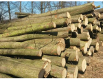 Prodej tvrdého dřeva pro vytápění i řemeslné práce Brno-venkov, Pohořelice