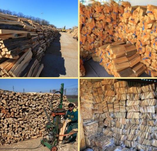Palivové a krbové dřevo na prodej ve velkoobchodu Prodex, okres Znojmo