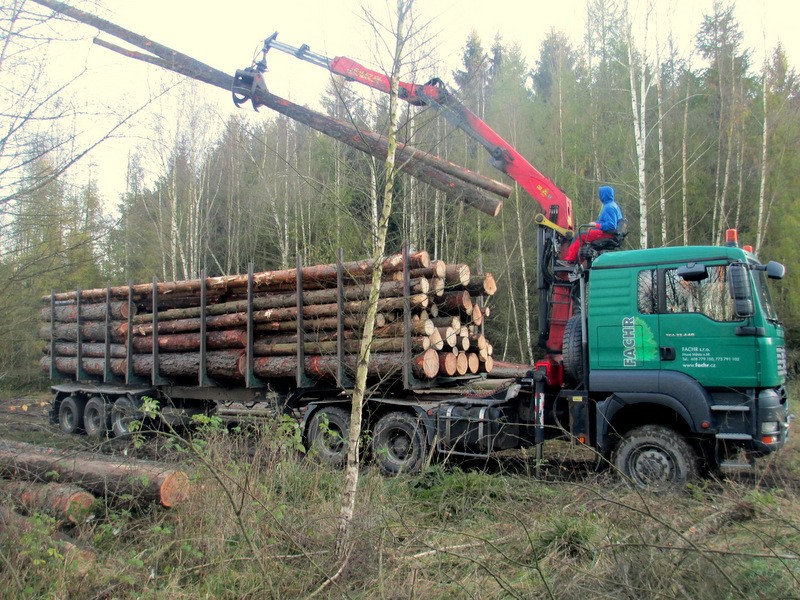 Výkup a prodej dřeva, pozemků a lesů s odborníky z FACHR s.r.o.