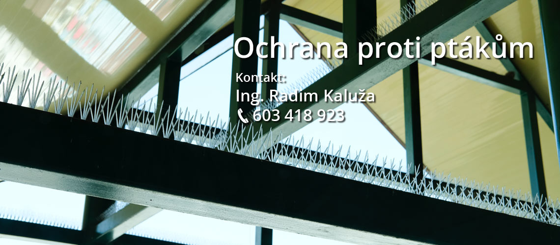 Ochrana proti ptactvu Ostrava: Holubi už vám na okna nesednou!