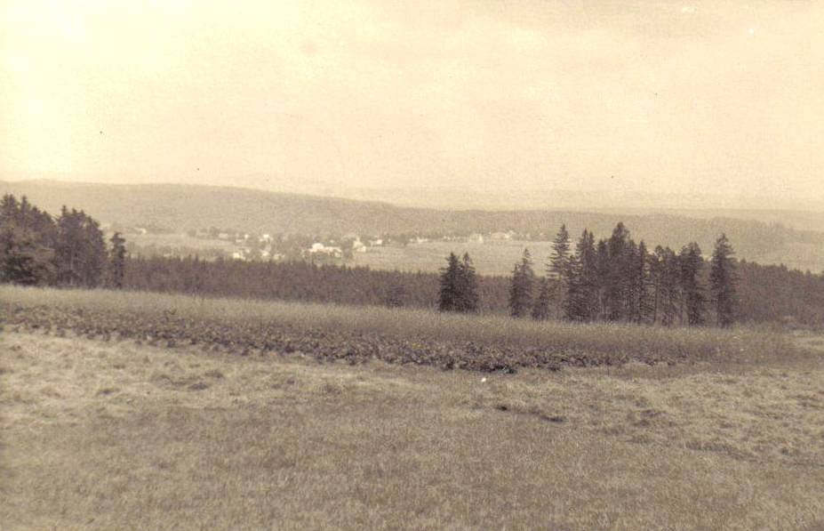 Dobové fotografie vztahující se k městským lesům Planá