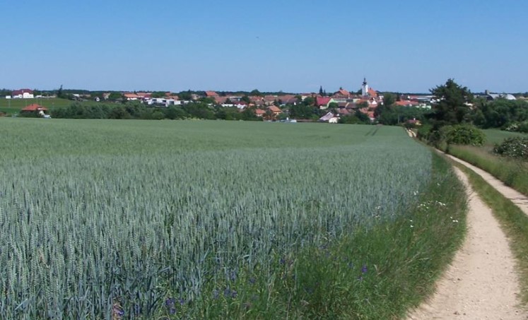 Krásná příroda v okolí městyse Olbramkostel