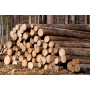 Spolehlivé palivové dřevo pro zajištění tepla po celý rok
