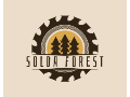SOLDA forest David Solař